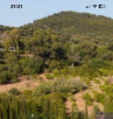 Haus in Calle albanchez de magina 1. Se vende masia con terreno de olivos