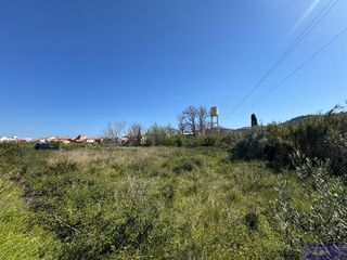 Fondo rustico in Camí molí 88. Se vende terreno en la alquería de la condesa
