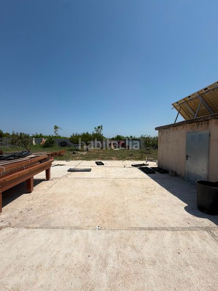Foto 0782ba29-3b95-47c1-8315-11bcefb6b5ba. Masía en cami de les marjaletes 3 se vende casa rustica en Oliva