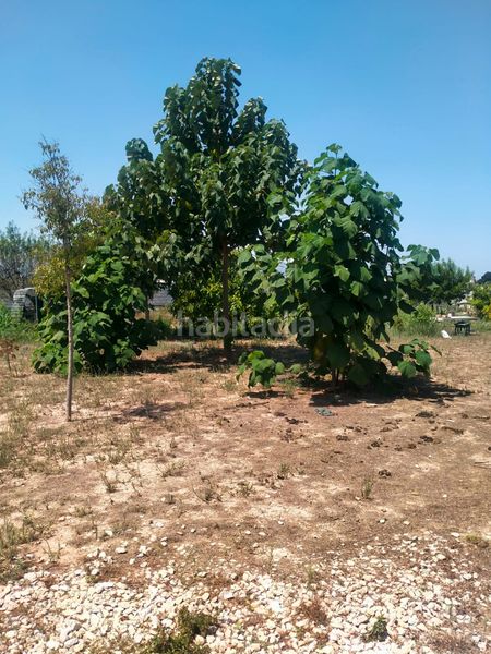 Foto 2cce573d-e4b4-465f-ac7c-ddd4d68fc126. Masía en cami de les marjaletes 3 se vende casa rustica en Oliva
