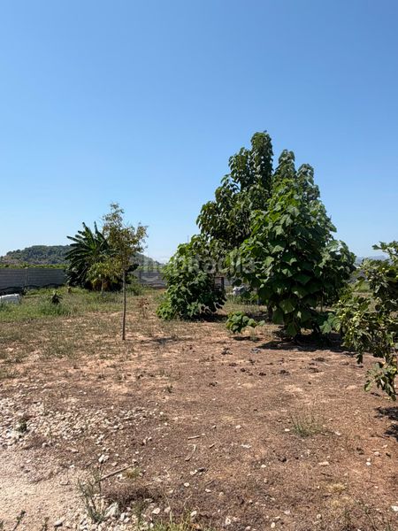 Foto 2eb5e9c1-5ed6-4376-8925-b83e799e5ff3. Masía en cami de les marjaletes 3 se vende casa rustica en Oliva