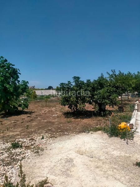 Foto 316c1a60-55b1-464f-a396-dcee16d068b7. Masía en cami de les marjaletes 3 se vende casa rustica en Oliva