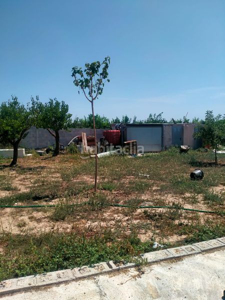 Foto bb1c131e-b41f-4152-b6be-85922d28734b. Masía en cami de les marjaletes 3 se vende casa rustica en Oliva