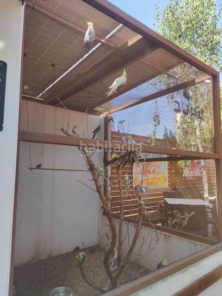 Foto e0ac0d91-9658-49c8-b335-8610a5e7527f. Traspaso local comercial local en traspàs a en Vilablareix