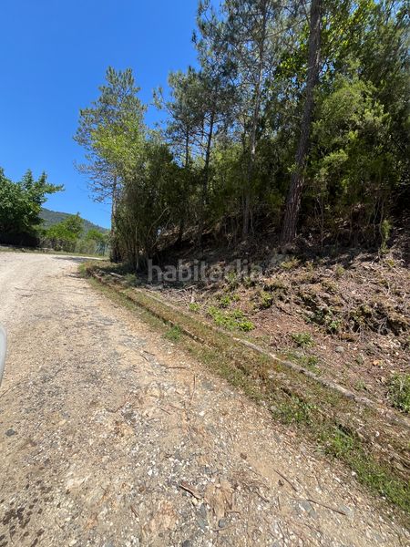 Foto 80459261-fb7e-43c8-a15f-62f362332735. Finca rústica a Sant Martí de Llémena