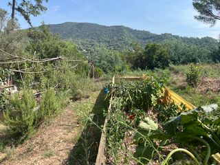Finca rústica  Urbanitzacio vall de llemena. Terreny rural a amb caseta a llorà per reformar