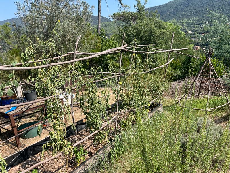 Foto ad8727d3-ba17-4a15-8940-0cb529f0ac1f. Finca rústica a Sant Martí de Llémena