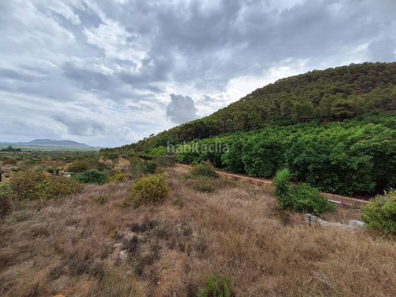 Foto 31f5887c-8dd6-49d3-b576-e93f5c2f523d. Chalet  en venta en sansofi con vistas espectaculares en Llaurí