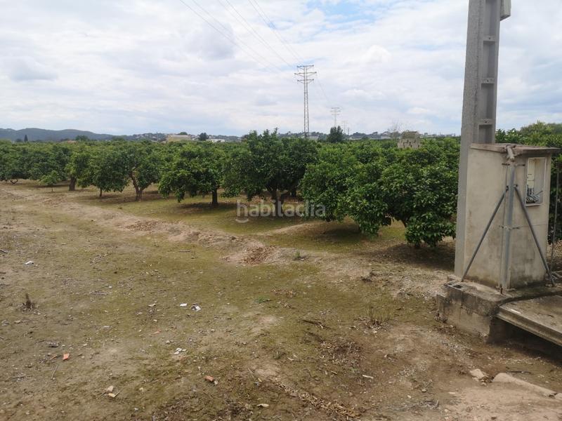 Foto a318fe9c-6347-44fb-8d7d-d07aa076724e. Terrain résidentiel dans Urbanitzacions i Pedanies Nord Alzira