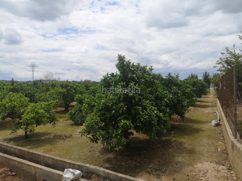 Foto b9f3a135-c092-462c-90fc-87a21dad5dd9. Terrain résidentiel dans Urbanitzacions i Pedanies Nord Alzira