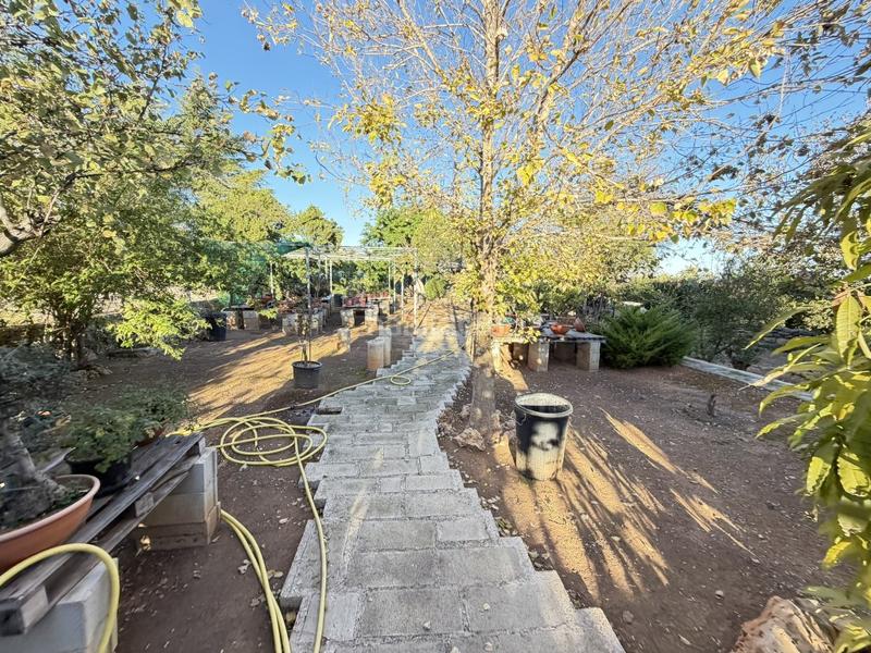 Foto f4c7d9d4-602e-41a3-91a1-d8efbbaf94bb. Chalet con parcheggio piscina in Urbanitzacions i Pedanies Nord Alzira