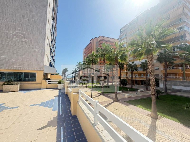 Foto e8ee2ea5-7263-404b-a547-0a39c50887f2. Pis a Tavernes de la Valldigna
