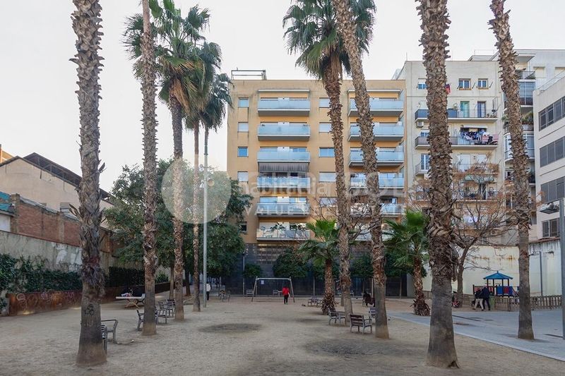 Foto 917cd7e5-bb4d-4f00-879d-d9655d1ed449. Pis a Sant Antoni Barcelona