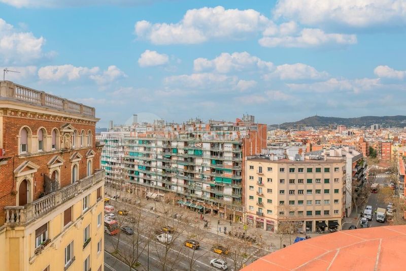 Foto 16b1b144-e012-4c4f-a9a3-ce38cd0b7d20. Àtic a Font de la Guatlla Barcelona