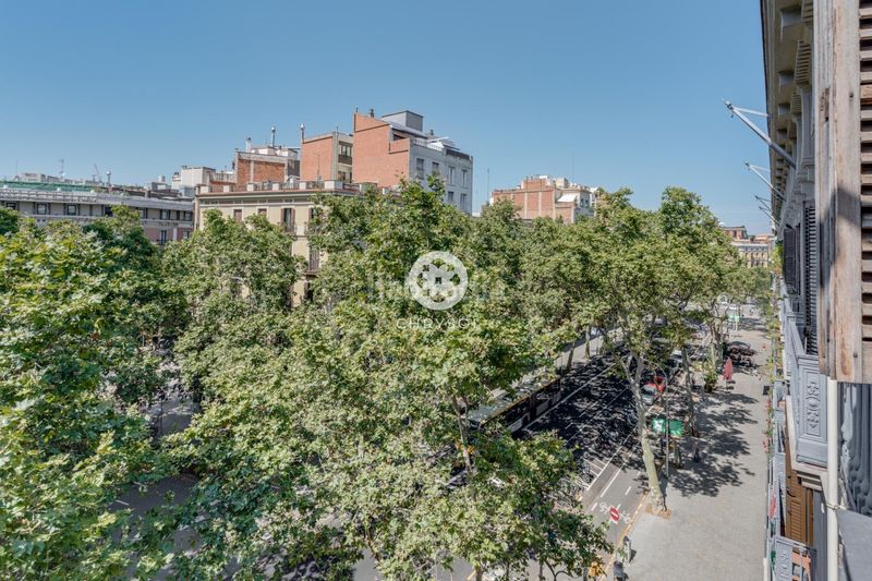 Foto b629f0b9-e9b3-4818-a0e9-e5ece0895c66. Pis a Dreta de l´Eixample Barcelona