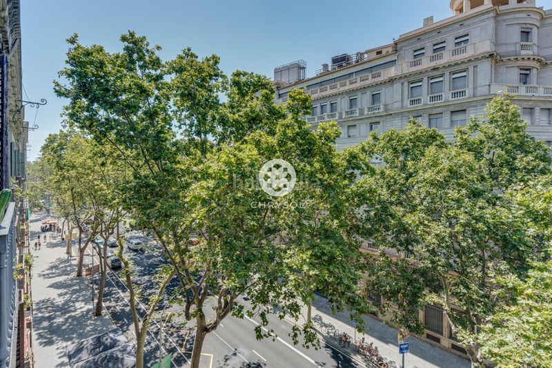 Foto c22157e5-42ad-4bfa-9a48-e3ace73fde10. Pis a Dreta de l´Eixample Barcelona