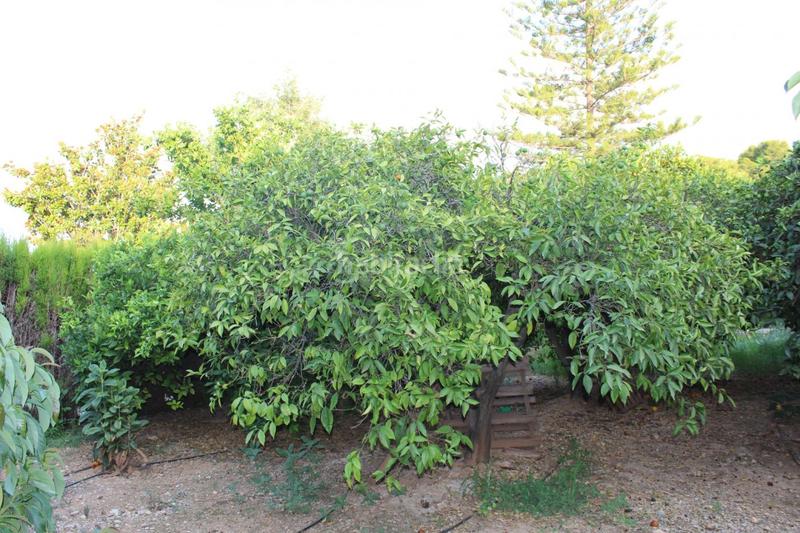 Foto be67e68b-f864-4b83-87f5-5a9492db313b. Chalet con riscaldamento parcheggio piscina in Picassent