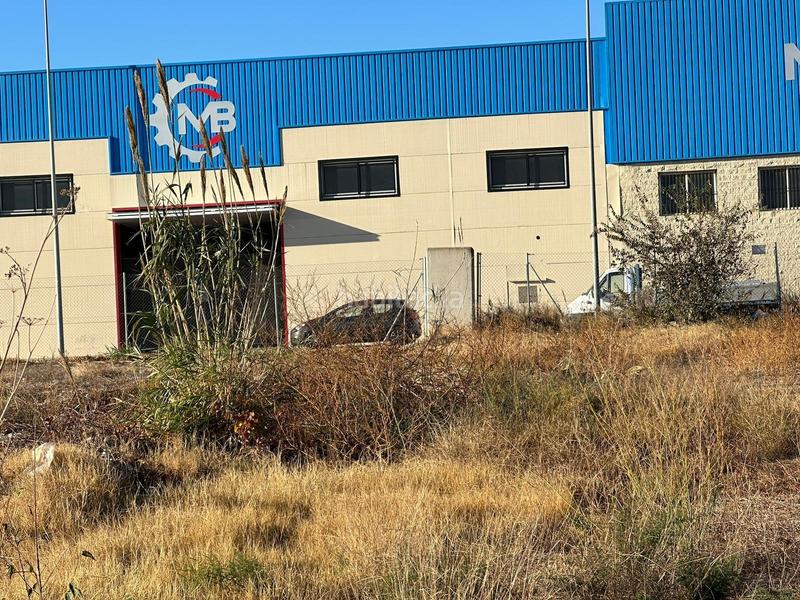 Foto 776a9bf6-7d5a-4c30-8d15-b66e933144ea. Terreny residencial a Alcúdia (l´)