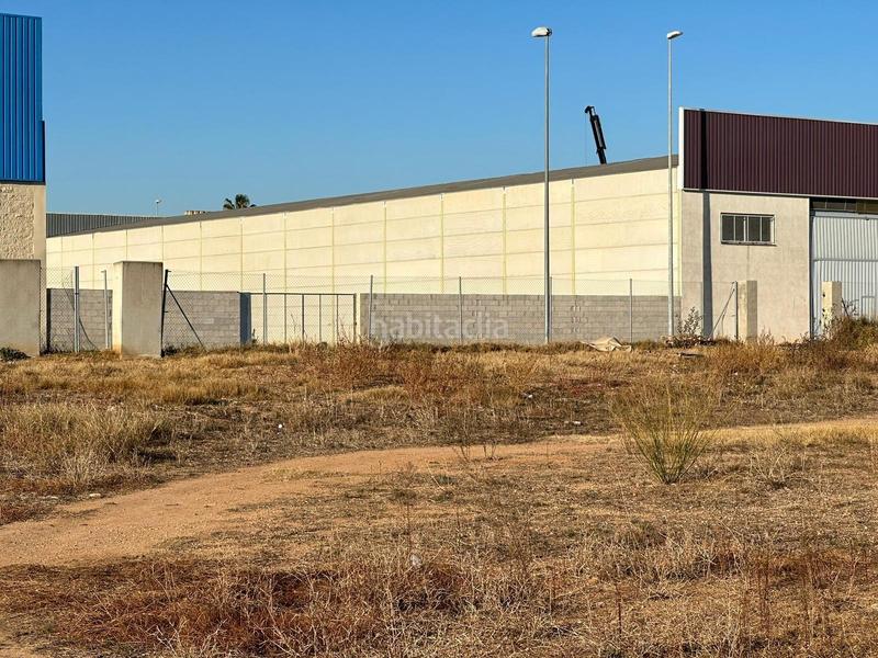 Foto 7c152f7e-bfe0-47ae-a72a-6848fcab4a18. Terreny residencial a Alcúdia (l´)