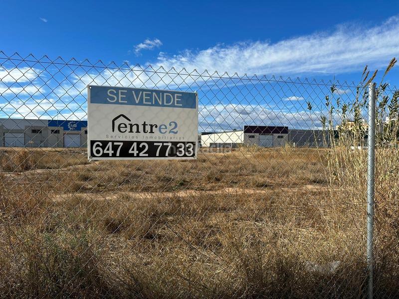 Foto c24d1b7d-d4da-42f9-9261-f882af41e991. Terreny residencial a Alcúdia (l´)