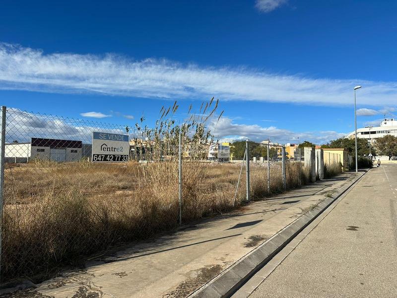 Foto d1b5164b-ee35-4521-ba47-b18b1d5ccc08. Terreny residencial a Alcúdia (l´)