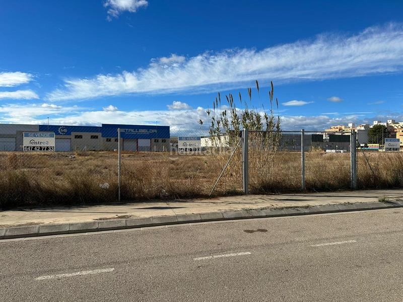 Foto e6f01329-b773-4d52-ae3e-878c426a7e25. Terreny residencial a Alcúdia (l´)