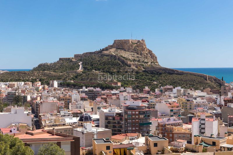 Foto 07847cf5-4857-4747-8f64-4acd32aaf55b. Pis a Los Ángeles Alicante