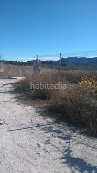 Foto 0d2060c8-a207-4aca-9633-639f66422d4c. Rural plot in Benicolet