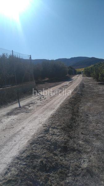 Foto 262a9fef-2cc5-4c7d-a622-04ddedcb1a2a. Rural plot in Benicolet