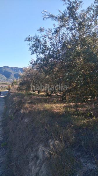 Foto 7b0d4c5c-5595-4b08-9093-4fbbdb21b7d2. Rural plot in Benicolet