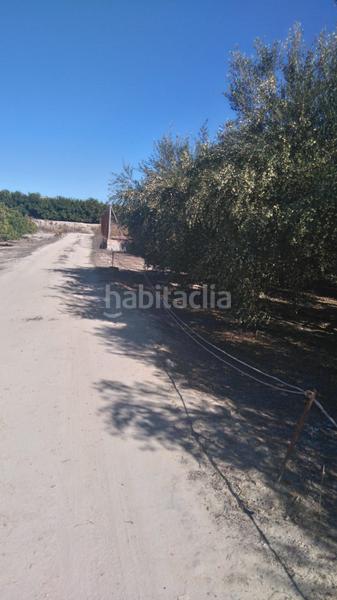 Foto 877ccafb-6c96-41d5-9e37-b508d5039722. Rural plot in Benicolet