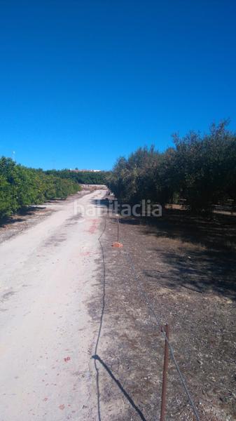 Foto e45c113c-c536-40a6-94e3-b40505bc431d. Rural plot in Benicolet