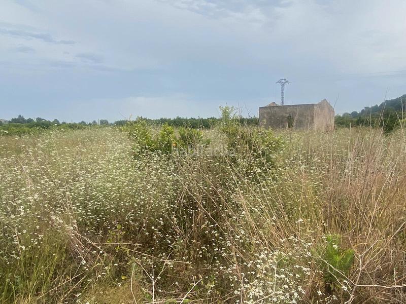 Foto 08e9da73-7b4a-44c4-a9d1-54bd5d8bddc6. Finca rústica terreno muy bien ubicado en Oliva pueblo Oliva