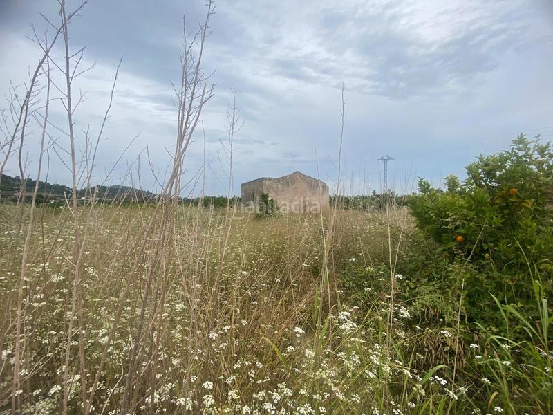 Foto 0ae52795-2440-4d96-ae12-5c0c34312275. Finca rústica terreno muy bien ubicado en Oliva pueblo Oliva