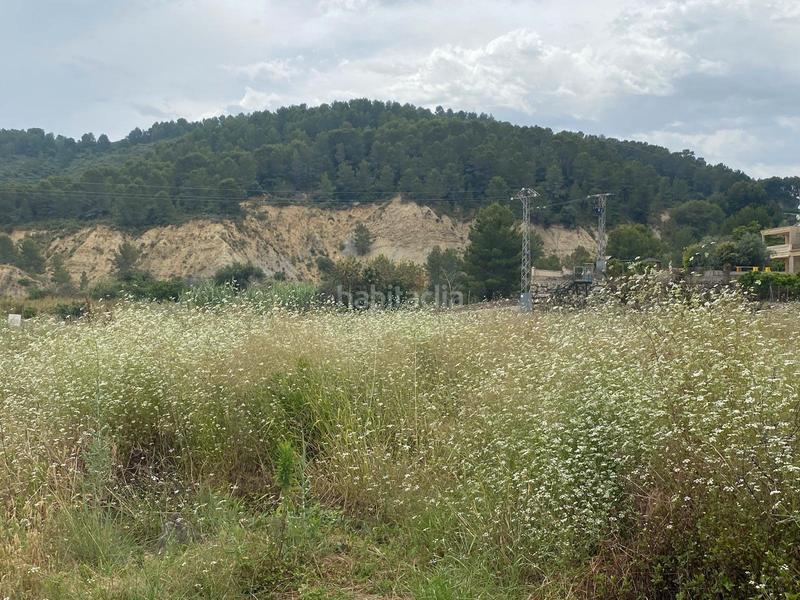 Foto 0e1d7f85-46dd-4f95-b40f-8520f90b650d. Finca rústica terreno muy bien ubicado en Oliva pueblo Oliva