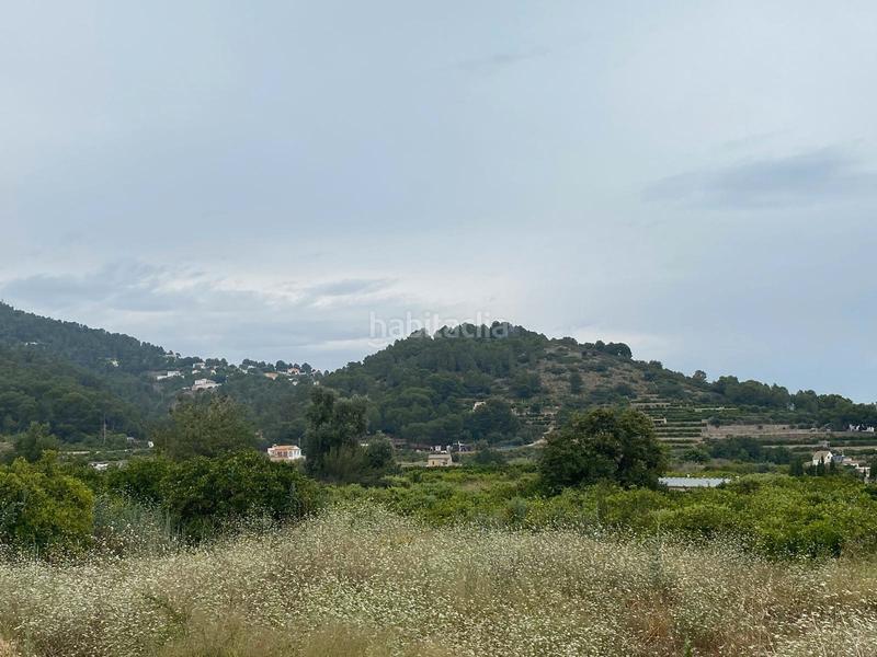 Foto 12cb901a-27dc-46ad-a862-fab8e8590315. Finca rústica terreno muy bien ubicado en Oliva pueblo Oliva