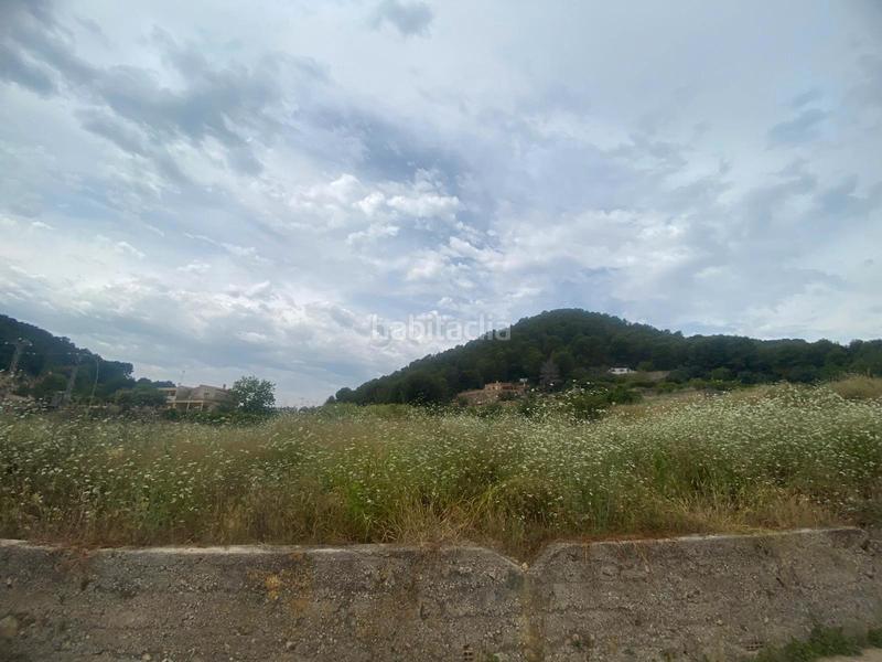 Foto 14992305-aa78-48fb-a5d1-73ba22e02edf. Finca rústica terreno muy bien ubicado en Oliva pueblo Oliva