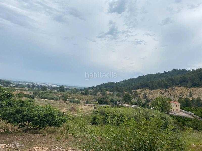 Foto 31ef1a7a-8cca-4707-9f7f-f949277b8ecd. Finca rústica terreno muy bien ubicado en Oliva pueblo Oliva