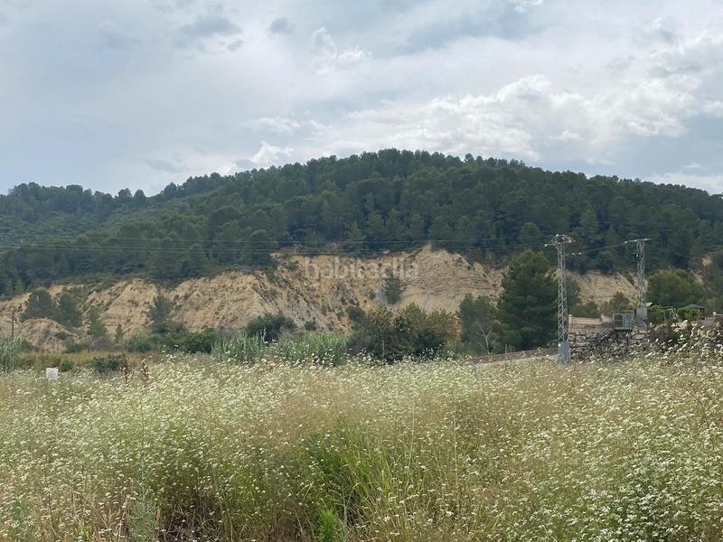 Foto 3518dfea-3baf-43bf-931f-bb5cfe056cdc. Finca rústica terreno muy bien ubicado en Oliva pueblo Oliva