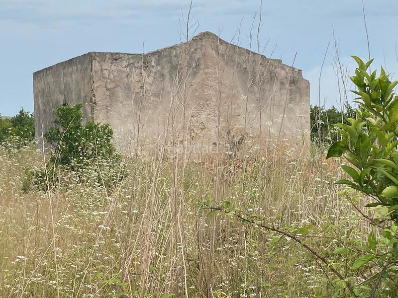 Foto 46f48bde-9d2c-44de-a46c-f693007a9f0b. Finca rústica terreno muy bien ubicado en Oliva pueblo Oliva