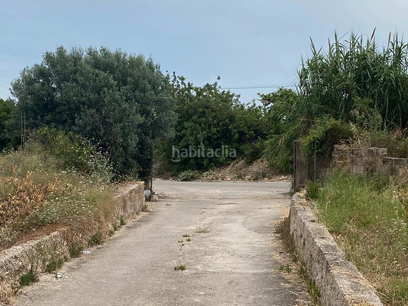 Foto 877f2bc1-67f5-4ce4-8590-75a0d58d7e9b. Finca rústica terreno muy bien ubicado en Oliva pueblo Oliva