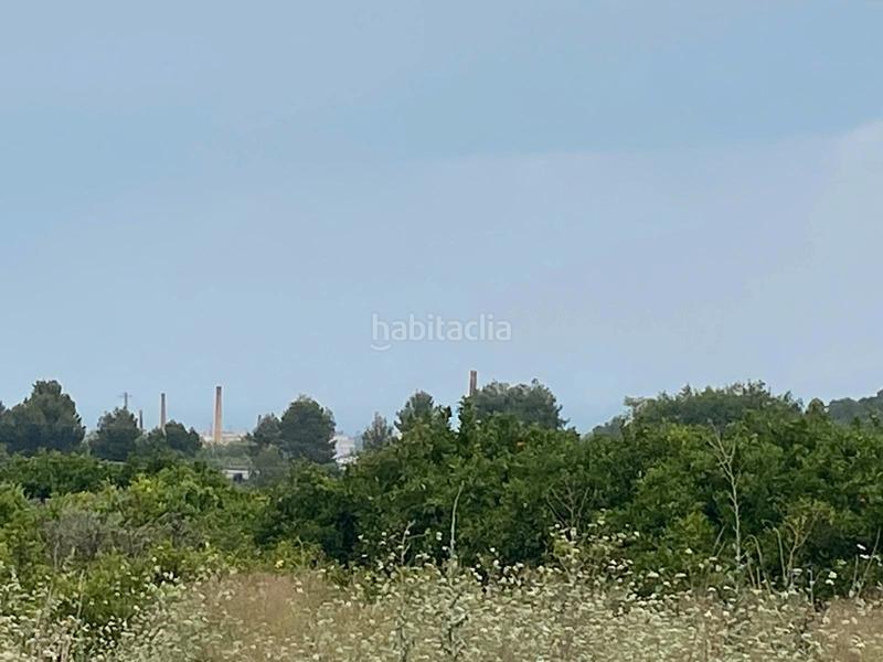 Foto c45845b5-6e95-4831-a397-e964e962b6df. Finca rústica terreno muy bien ubicado en Oliva pueblo Oliva