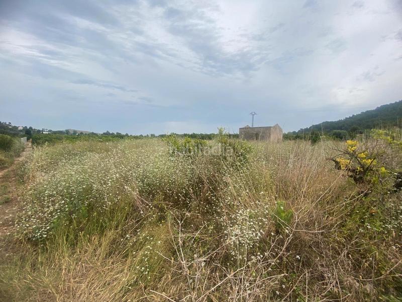 Foto da80071c-3978-42e8-bae9-3156cc127674. Finca rústica terreno muy bien ubicado en Oliva pueblo Oliva