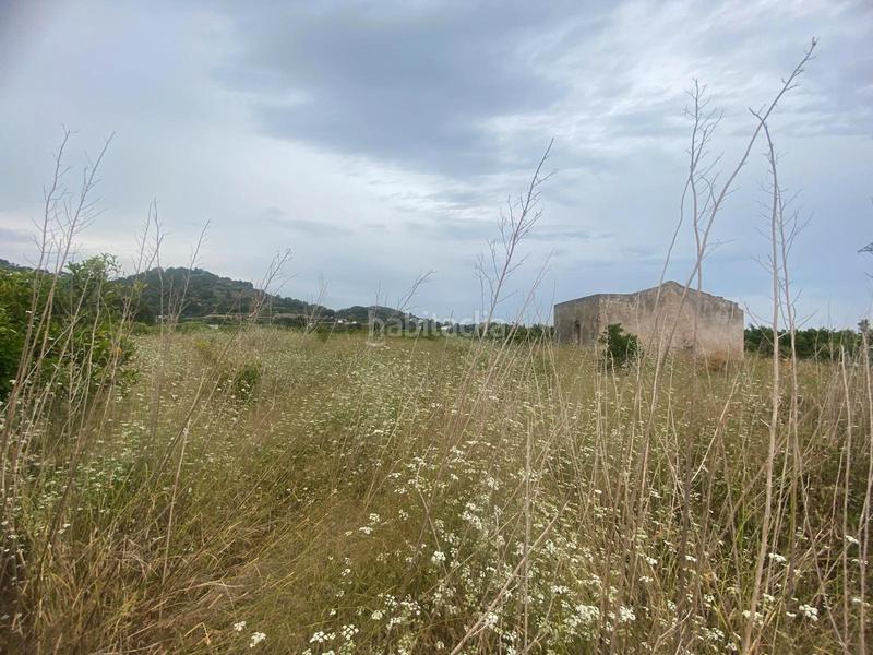 Foto ed1526ee-5901-421c-8c7f-879aaf1acd7b. Finca rústica terreno muy bien ubicado en Oliva pueblo Oliva