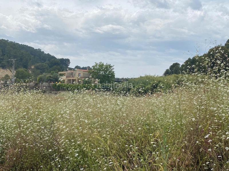 Foto febacd1e-b675-4363-a208-4ddfc6509ca8. Finca rústica terreno muy bien ubicado en Oliva pueblo Oliva