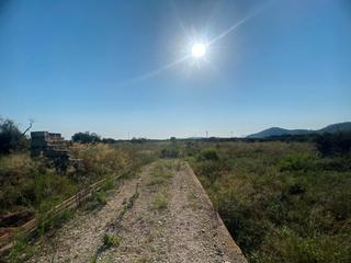 Rural plot in Cami de la carrasca 1. Terreno en oliva de 9 anegadas con caseta