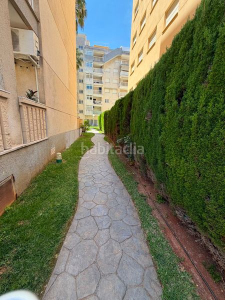 Foto 94c6df18-6464-4a8c-a564-34e10c6a53cb. Apartament a Daimús