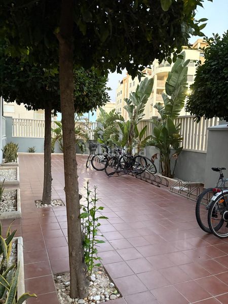 Foto 30b3fc3f-4b8d-4183-ac5a-059643472a8d. Alquiler planta baja en carrer garbí 26 planta baja en alquiler temporal con piscina en playa de daimuz en Daimús