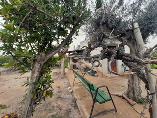 Terreny residencial a Beniaján. Parcela rustica con cuarto de aperos huerta de beniajan