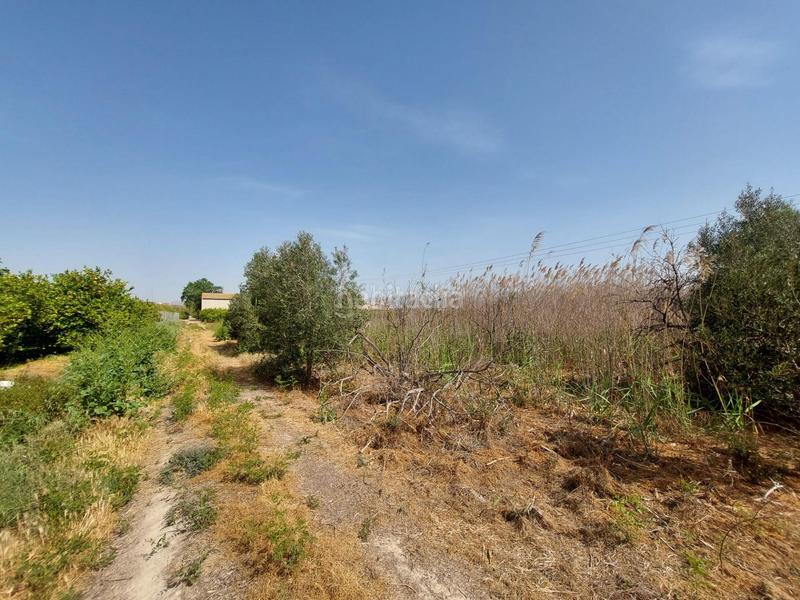 Foto 23304de1-222d-44f7-94a4-6cad78b56f93. Landgut in Alquerías Murcia